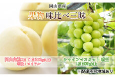 桃 ぶどう 2026年 先行予約 果物 味比べ三昧 岡山 白桃 2玉 等級：ロイヤル（1玉220g以上） シャイン マスカット 晴王 1房 380g以上 詰合せ もも 葡萄 岡山県産 国産 フルーツ 果物 ギフト 