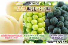 桃 ぶどう 2025年 先行予約 果物 味比べ三昧 岡山 白桃 2玉 等級：ロイヤル（1玉220g以上） シャイン マスカット 晴王 1房 380g以上 ニュー ピオーネ 1房 380g以上 詰合せ 岡山県産 国産 フルーツ ギフト