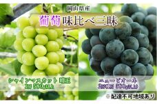 ぶどう 2025年 先行予約 葡萄 味比べ三昧 シャイン マスカット 晴王 1房 580g以上 ニュー ピオーネ  2房（1房 580g以上）（露地栽培）詰合せ ブドウ 葡萄  岡山県産 国産 フルーツ 果物 ギフト
