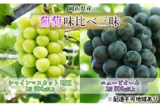 ぶどう 2025年 先行予約 葡萄 味比べ三昧 シャイン マスカット 晴王 1房 580g以上 ニュー ピオーネ 1房 580g以上（露地栽培）詰合せ ブドウ 葡萄  岡山県産 国産 フルーツ 果物 ギフト