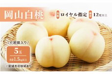 桃 2024年 先行予約 岡山 白桃 5玉（1.5kg以上） 等級：ロイヤル指定／糖度：12度以上 化粧箱入り もも モモ 岡山県産 国産 フルーツ 果物 ギフト