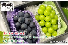 ぶどう 2025年 先行予約 農家こだわりの シャイン マスカット ＆ ニュー ピオーネ 2房 合計約1.2kg 贈答クラス 葡萄 岡山県産 国産 フルーツ 果物 ギフト 【 Nini farm 農家 直送 】 デザート 