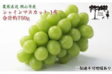 ぶどう 2025年 先行予約  【平均糖度20度】農家こだわりの シャイン マスカット 1房 約750g 贈答クラス ブドウ 葡萄 岡山県産 国産 フルーツ 果物 ギフト 【 Nini farm 農家 直送 】 岡山のぶどう デザート 食後 