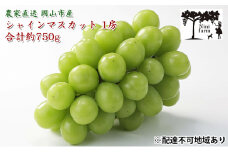 ぶどう 2025年 先行予約  【平均糖度20度】農家こだわりの シャイン マスカット 1房 約750g 贈答クラス ブドウ 葡萄 岡山県産 国産 フルーツ 果物 ギフト 【 Nini farm 農家 直送 】 岡山のぶどう デザート 食後 