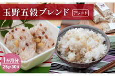 玉野五穀ブレンド「アソート」1か月分（30個入り） 雑穀 国産