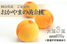 桃 2025年 先行予約 ご家庭用 おかやま の 黄金桃  大玉 3玉（合計約900g） もも モモ 岡山県産 国産 フルーツ 果物