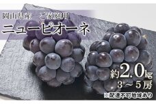 ぶどう 2025年 先行予約 ご家庭用 ニュー ピオーネ 約2.0kg （3～5房） ブドウ 葡萄  岡山県産 国産 フルーツ 果物