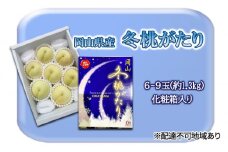 桃 2025年 先行予約 冬桃がたり6～9玉（約1.3kg）化粧箱入り もも モモ 岡山県産 国産 フルーツ 果物 セット ギフト