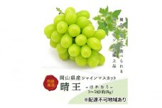 ぶどう 2025年 先行予約 シャインマスカット晴王 3～5房 (約2kg) ブドウ 葡萄 岡山県産 国産 フルーツ 果物 ギフト
