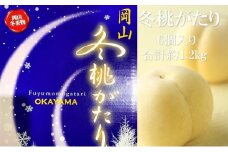 桃 2025年 先行予約  岡山県産 白桃 冬桃がたり 6個入り 約1200g もも モモ 岡山県産 国産 フルーツ 果物 ギフト