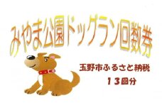 みやま公園 ドッグラン 回数券 13回分 チケット 体験 岡山県 玉野市