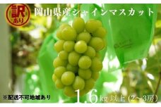 訳あり シャインマスカット 2～3房 合計1.6kg以上 産地直送 朝採れ ぶどう 葡萄 シャイン マスカット 岡山 Kawahara Green Farm2025年