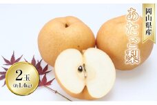 梨 2025年 先行予約 あたご梨 2玉 青秀以上 (約1.4kg) 化粧箱入り