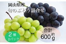 ぶどう 2025年 先行予約 旬のぶどう詰合せ 2種2パックセット(ニューピオーネ1房約300g×1P、シャインマスカット晴王1房約300g×1P)