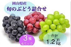 ぶどう 2025年 先行予約 旬のぶどう詰合せ 3種4パックセット(ニューピオーネ1房約300g×1P、シャインマスカット晴王1房約300g×2P、旬のぶどうお任せ1房約300g×1P)