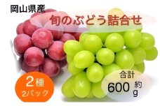 ぶどう 2025年 先行予約 旬のぶどう詰合せ 2種2パックセット(シャインマスカット晴王1房約300g×1P、旬のぶどうお任せ1房約300g×1P)