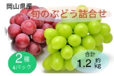 ぶどう 2025年 先行予約 旬のぶどう詰合せ 2種4パックセット(シャインマスカット晴王1房約300g×2P、旬のぶどうお任せ1房約300g×2P)