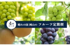 【2025年 先行予約 】晴れの国 岡山 の フルーツ 定期便 4回コース 岡山県産 葡萄 ぶどう 梨 なし