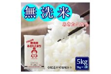 令和7年産 無洗米あきたこまち 5kg (5kg×1袋) 岡山県産 お米