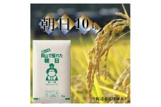 令和6年産 朝日 10kg (5kg×2袋) 岡山県産 精米 お米