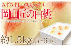 もも 2025年 先行予約 岡山匠の白桃 約1.5kg 5～6玉 犬塚農園 岡山県産 白桃 桃 モモ ギフト 初夏 みずみずしい