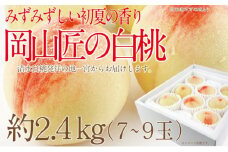 もも 2025年 先行予約 岡山匠の白桃 約2.4kg 7～9玉 犬塚農園 岡山県産 白桃 桃 モモ ギフト 初夏 みずみずしい