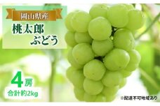 ぶどう 【2025年 早期受付】 桃太郎ぶどう 4房 合計約2kg ブドウ 葡萄  岡山県産 国産 フルーツ 果物 ギフト