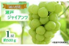 ぶどう 【2025年 早期受付】 瀬戸ジャイアンツ 1房 約500g ブドウ 葡萄 岡山県産 国産 フルーツ 果物 ギフト