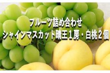 桃 ぶどう 【2025年 早期受付】 フルーツ詰め合わせ シャインマスカット 晴王 1房・ 白桃 2個 もも ブドウ 葡萄 岡山県産 国産 フルーツ 果物 ギフト