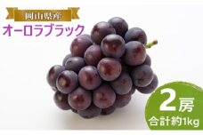 ぶどう 【2025年 早期受付】 オーロラブラック 2房 合計約1kg ブドウ 葡萄 岡山県産 国産 フルーツ 果物 ギフト