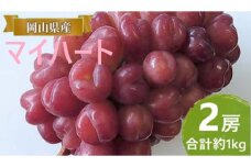 ぶどう 【2025年 早期受付】 マイハート 2房 合計約1kg ブドウ 葡萄 岡山県産 国産 フルーツ 果物 ギフト