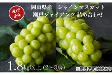 厳選 シャインマスカット・瀬戸ジャイアンツ 2～3房 合計1.8kg以上 詰合せ 産地直送 朝採れ ぶどう 葡萄 Kawahara Green Farm 岡山県産2025年