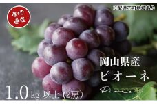 厳選 ニューピオーネ 2房 合計1.0kg以上 産地直送 朝採れ ぶどう 葡萄 Kawahara Green Farm 岡山県産 2025年