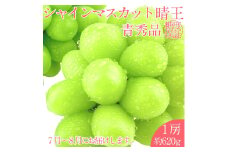 【2025年 予約受付中】 シャインマスカット 晴王 1房約620g 7月～8月出荷/ 岡山県産 種無し 皮ごと食べる みずみずしい フレッシュ 晴れの国 おかやま 果物大国 彩美菜果