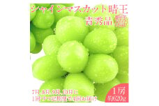 2025年 予約受付中【4回定期便】 シャインマスカット 晴王1房 約620g 7月～10月出荷/ 岡山県産 種無し 皮ごと食べる みずみずしい フレッシュ 晴れの国 おかやま 果物大国 彩美菜果