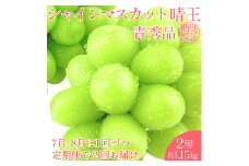 2025年 予約受付中【2回定期便】 シャインマスカット 晴王 2房約1.15kg 7月～8月出荷/ 岡山県産 種無し 皮ごと食べる みずみずしい フレッシュ 晴れの国 おかやま 果物大国 彩美菜果