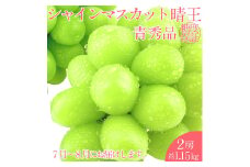 【2025年 予約受付中】 シャインマスカット 晴王 2房約1.15kg 7月～8月出荷/ 岡山県産 種無し 皮ごと食べる みずみずしい フレッシュ 晴れの国 おかやま 果物大国 彩美菜果