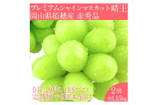 2025 年予約受付中【2回定期便】 プレミアム シャインマスカット 晴王 2房約1.15kg/ 岡山県 船穂産 赤秀品 種無し 皮ごと食べる みずみずしい 9月10月に1回づつ届け フレッシュ 晴れの国 おかやま 果物大国 彩美菜果