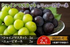 ぶどう 【2025年 先行予約】 シャインマスカット 1房 ニュー ピオーネ 2房 合計2kg以上 マスカット ブドウ 葡萄 岡山県産 国産 フルーツ 果物 ギフト