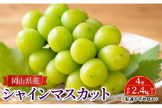 ぶどう 【2025年 先行予約】 シャインマスカット 4房 合計2.4kg以上 マスカット ブドウ 葡萄  岡山県産 国産 フルーツ 果物 ギフト