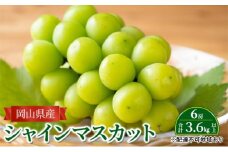 ぶどう 【2025年 先行予約】 シャインマスカット 6房 合計3.6kg以上 マスカット ブドウ 葡萄 岡山県産 国産 フルーツ 果物 ギフト
