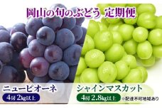 フルーツ 定期便 【2025年 先行予約】 ニュー ピオーネ 4房2kg以上 シャインマスカット 4房2.8kg以上 岡山県産 国産 セット ギフト