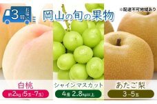フルーツ 定期便 【2025年 先行予約】 桃 ぶどう 梨 3回お届け 白桃 約2kg入り（5玉～7玉） シャインマスカット 4房2.8kg以上 あたご梨  (3～5玉)  岡山県産 国産 セット ギフト