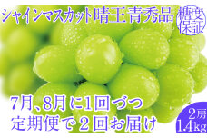 2025年予約受付中【2回定期便】シャインマスカット晴王2房 約1.4kg 7月8月に出荷 人気 岡山県産 種無し 皮ごと食べる みずみずしい  フレッシュ 晴れの国 おかやま 果物大国 ハレノフルーツ