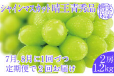 2025年予約受付中【2回定期便】シャインマスカット晴王 2房 約1.2kg 7月8月に出荷 人気 岡山県産 種無し 皮ごと食べる みずみずしい   おかやま 果物大国 ハレノフルーツ
