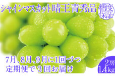 2025年予約受付中【3回定期便】シャインマスカット晴王 2房 約1.4kg 7月8月9月に出荷  人気 岡山県産 種無し 皮ごと食べる みずみずしい   ハレノフルーツ
