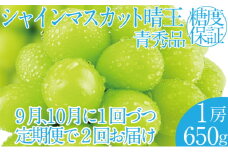 2025年 先行予約受付中【2回定期便】シャインマスカット晴王1房 約650g×2回 岡山県産 種無し 皮ごと食べる みずみずしい 甘い フレッシュ 瀬戸内 晴れの国 おかやま 果物大国 ハレノフルーツ