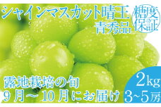 2025年 先行予約受付中 シャインマスカット晴王 約2kg(3～5房） 岡山県産 種無し 皮ごと食べる みずみずしい 甘い フレッシュ 瀬戸内 晴れの国 おかやま 果物大国 ハレノフルーツ