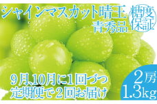 2025年 先行予約受付中【2回定期便】シャインマスカット晴王2房 約1.3kg 岡山県産 種無し 皮ごと食べる みずみずしい 甘い フレッシュ 瀬戸内 晴れの国 おかやま 果物大国 ハレノフルーツ