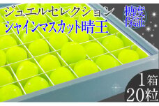 2025年 先行予約受付中 シャインマスカット晴王 ジュエルセレクション 1箱20粒 岡山県産 種無し 皮ごと食べる みずみずしい 甘い フレッシュ 瀬戸内 晴れの国 おかやま 果物大国 ハレノフルーツ